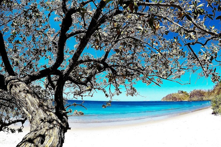Beach 71 of 82