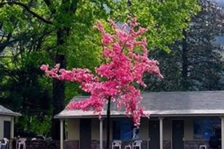 Property Grounds 87 of 102