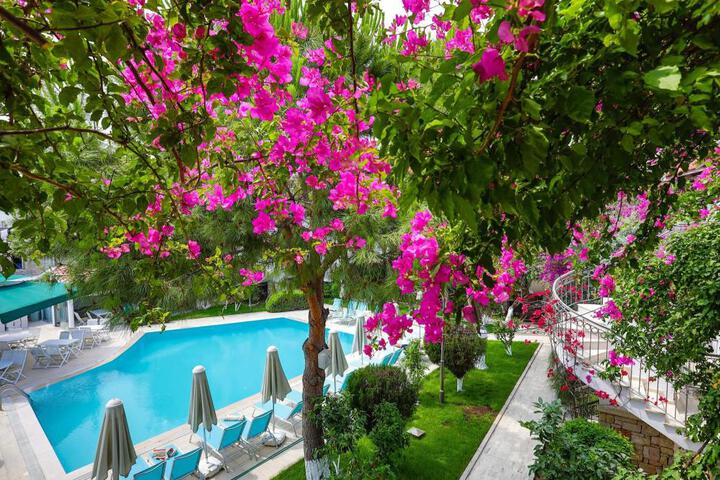 General 16 of 50