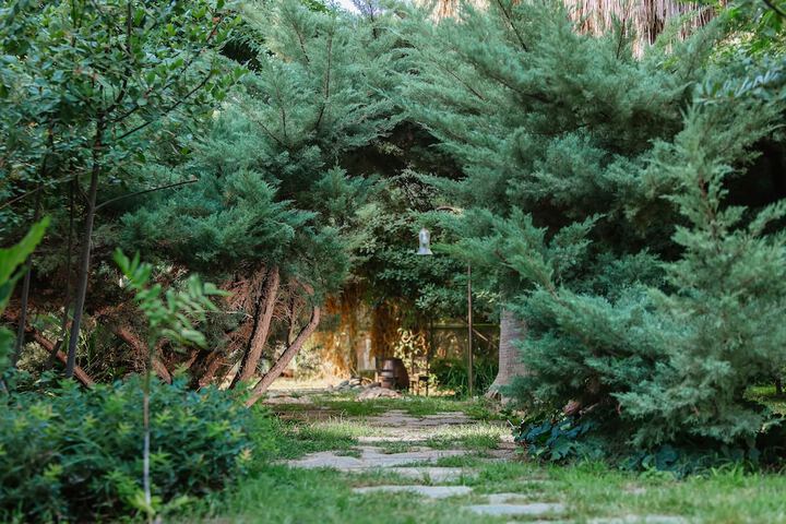 Property Grounds 76 of 92