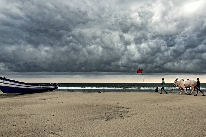 Beach 56 of 61