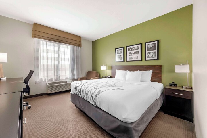 1 King Bed (14 of 38)
