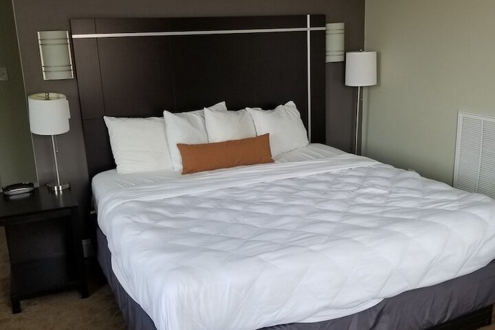 1 King Bed Accessible (3 of 24)