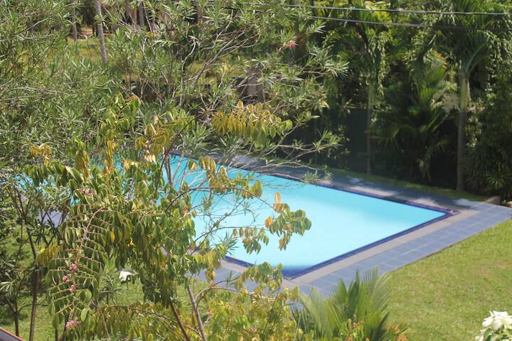 Pool 36 of 81