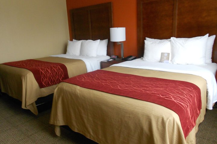 2 Double Beds (4 of 7)