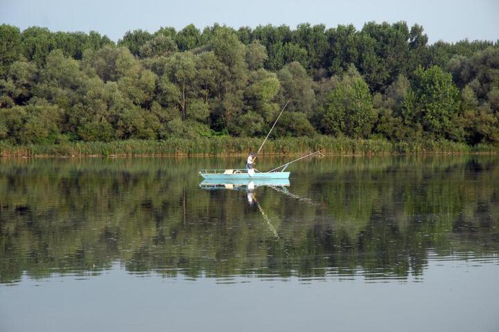 General 61 of 65