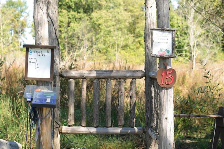 Water Sports 42 of 58