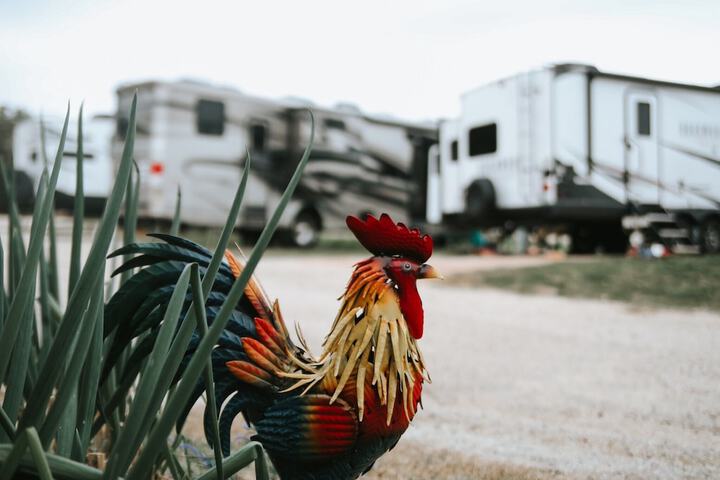 Property Grounds 64 of 93