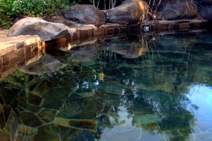 Pool 5 of 16