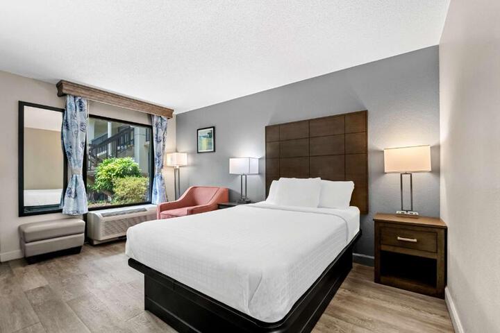 2 Double Beds Pet Friendly Room, Microwave and Refrigerator WiFi Full Breakfast (6 of 11)
