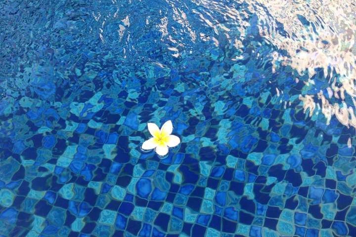Pool Hotel