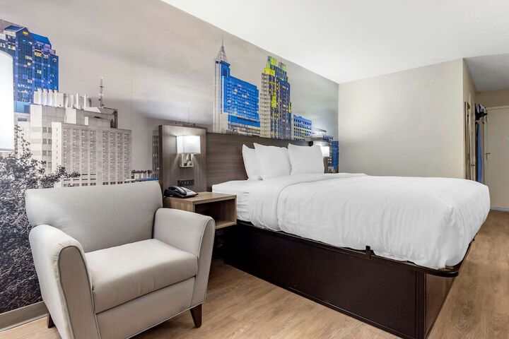 Standard King Bed Accessible (3 of 14)