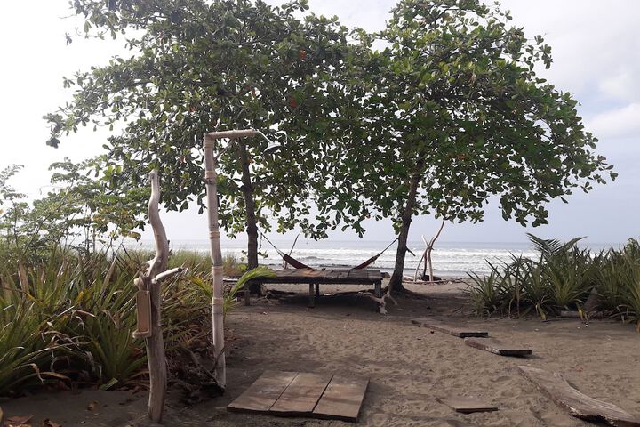 Beach 38 of 53