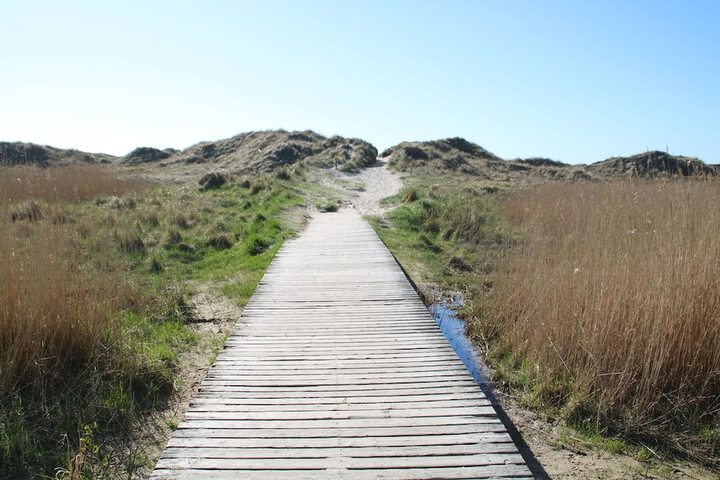 Beach 61 of 75