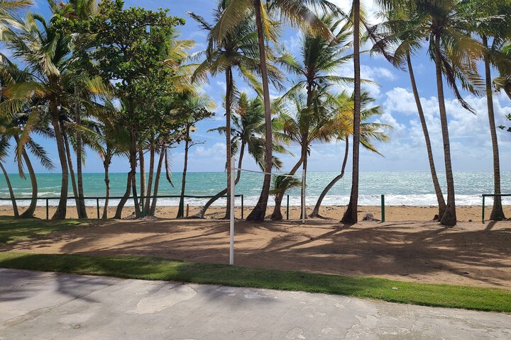 Terrace/Patio 6 of 13