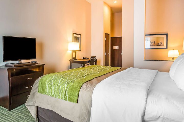 1 King Bed (6 of 13)