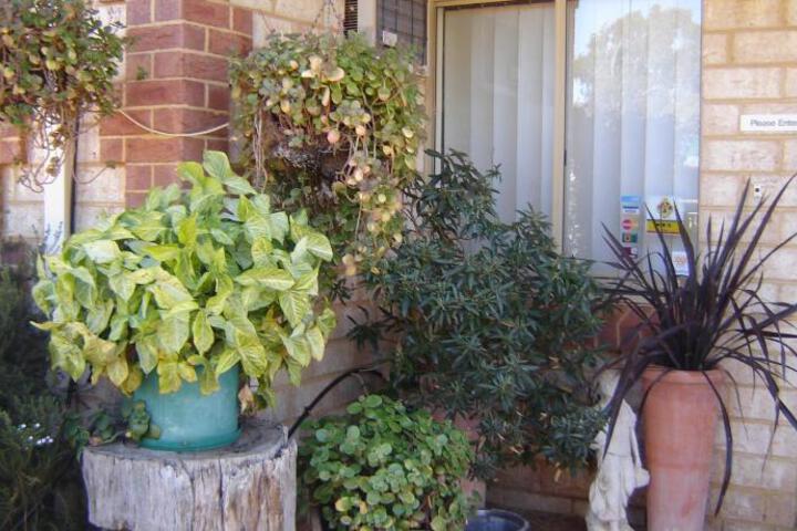 Photo 22