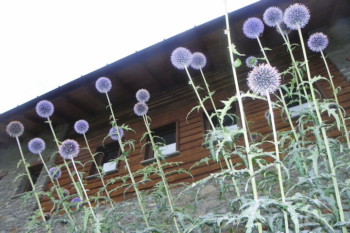 Exterior Photo