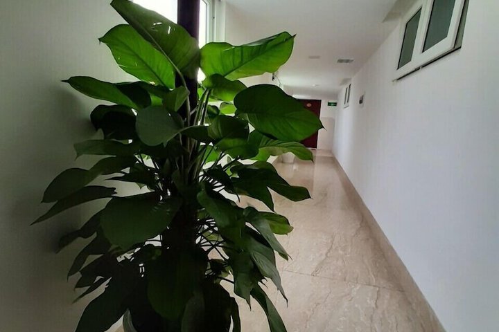 Hotel 20 of 25