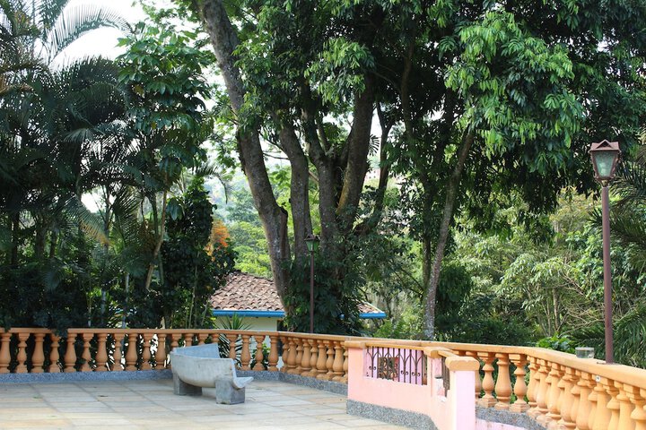 Terrace/Patio 58 of 67