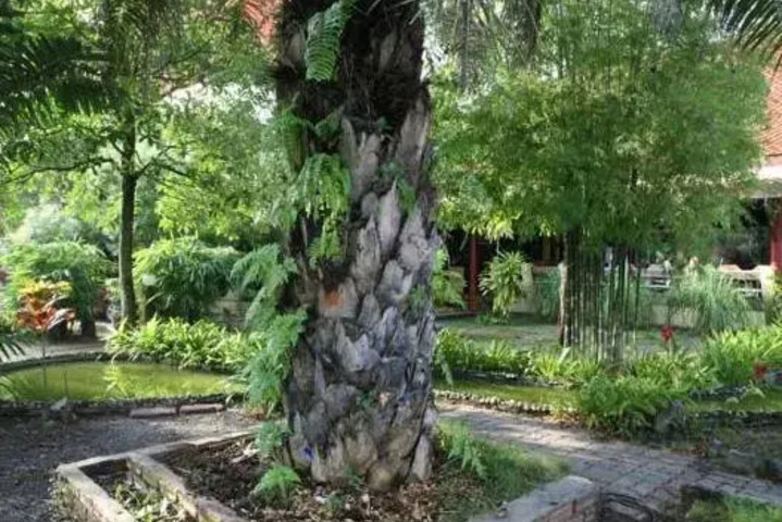 Photo 9