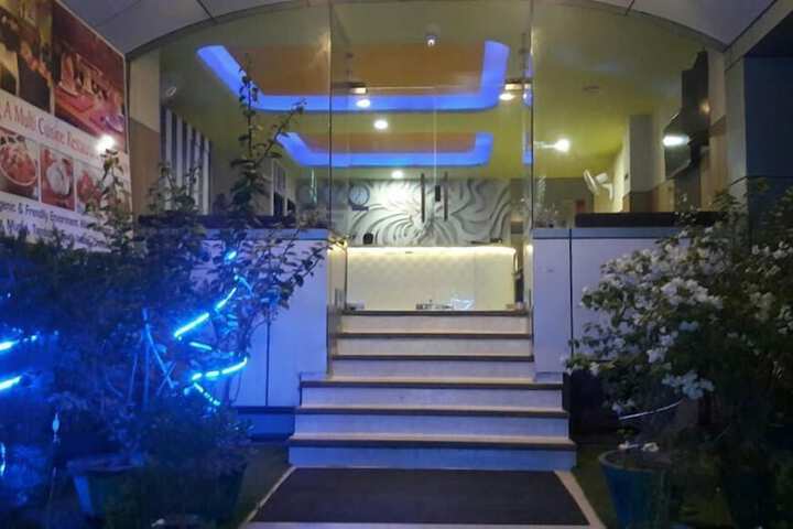 Hotel Green View Palace