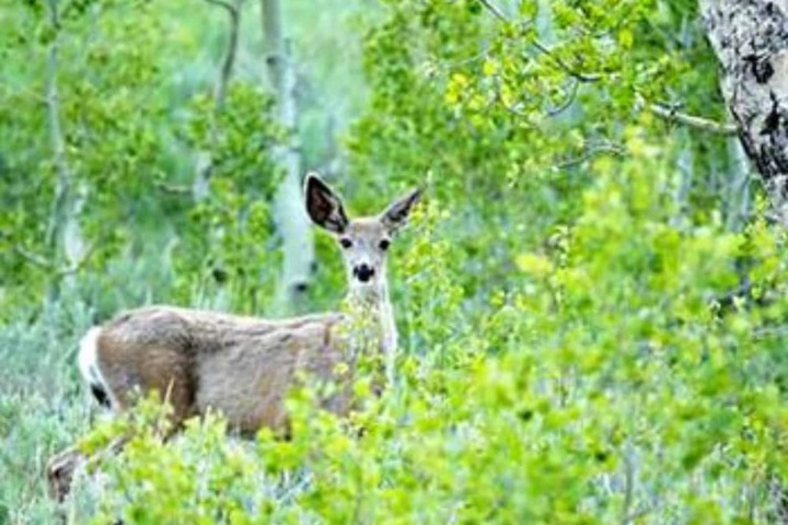 Outdoor Activities 3 of 5