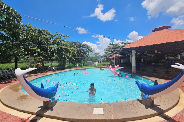 Pool 96 of 199