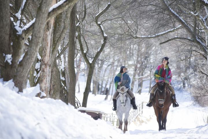 Horseback riding