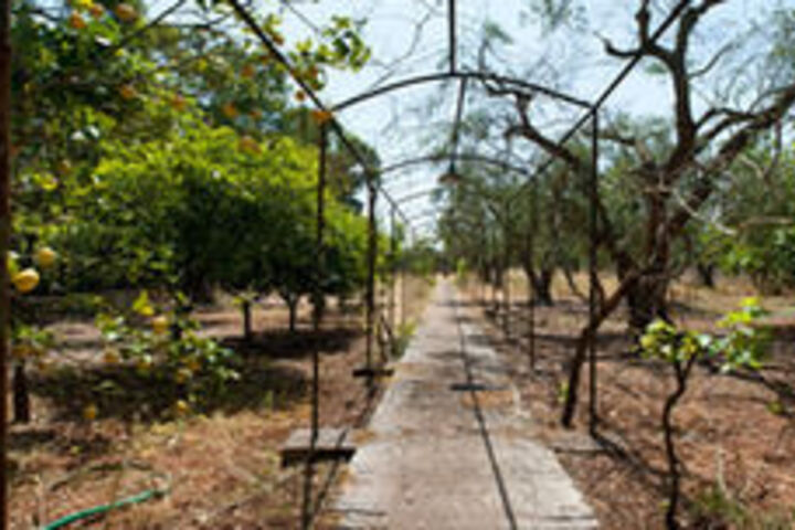 Property Grounds 24 of 35