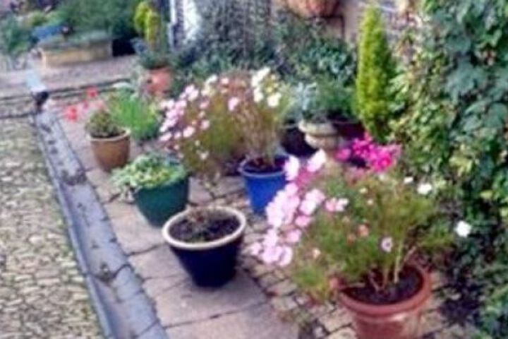 Photo 14