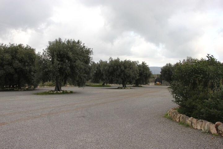Property Grounds 24 of 26