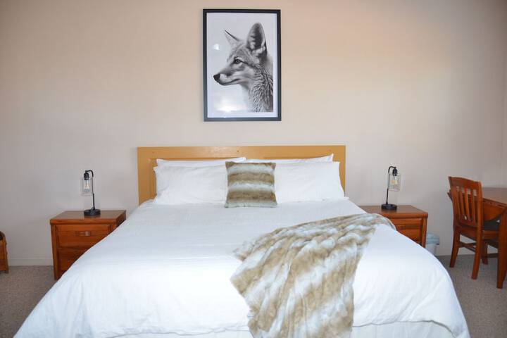 Room 12 of 54