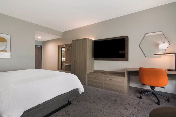 1 King Bed Standard Mobility Accessible Transfer Shower (10 of 15)