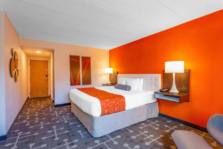 1 King Bed (8 of 9)