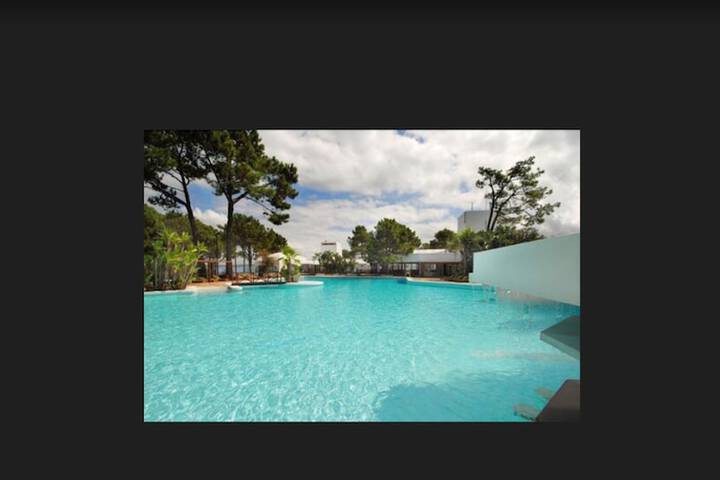 Hotel Pool