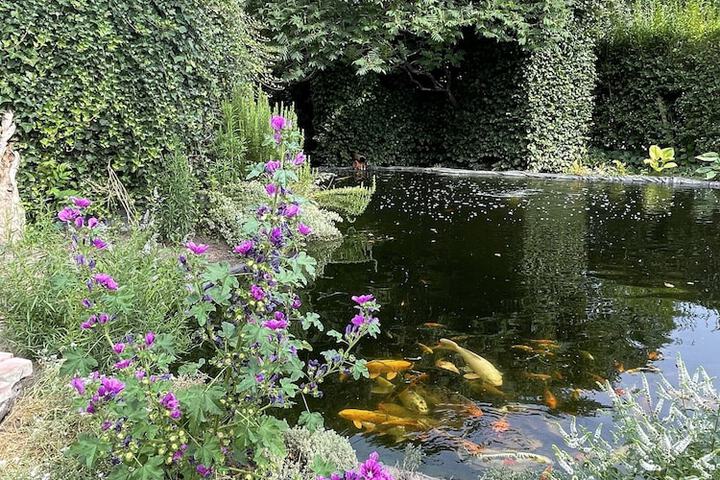 Hotel 59 of 63