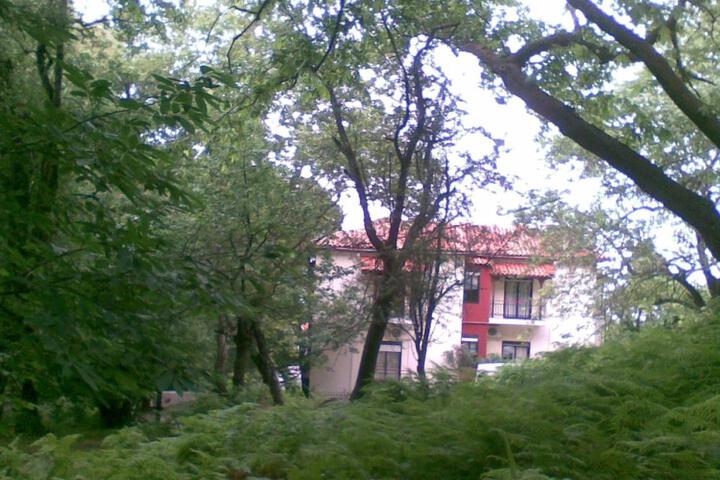 Orpheus Hotel