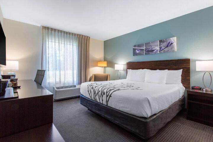 1 King Bed (8 of 22)