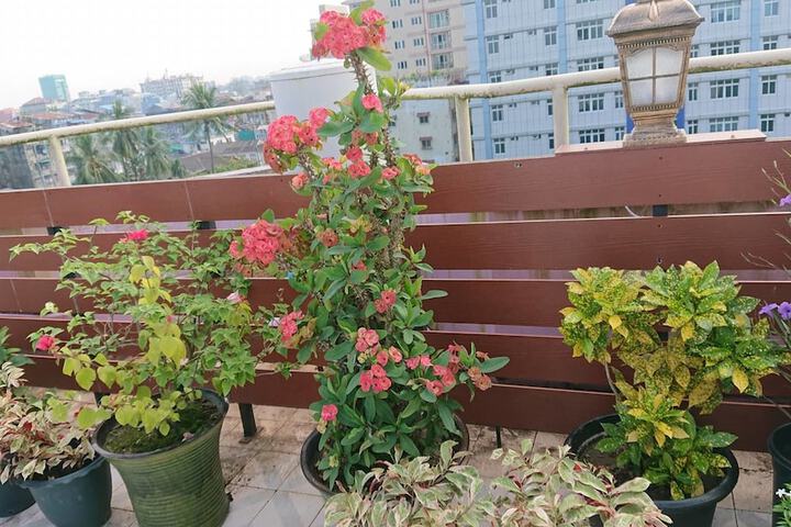 Terrace/Patio 53 of 54
