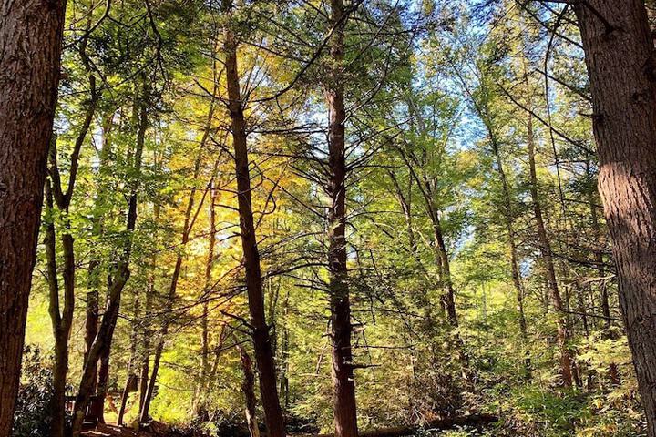 Outdoor Activities 50 of 68