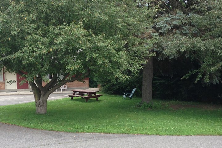 BBQ/picnic area