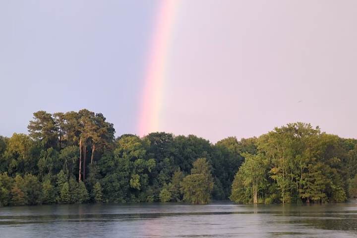 Property Grounds 98 of 124