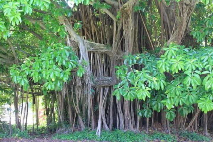 Property Grounds 101 of 129