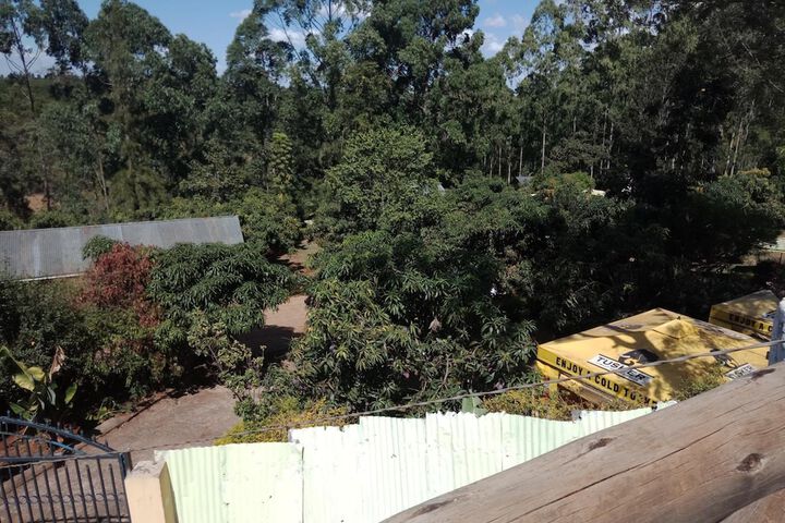 Property Grounds 38 of 50
