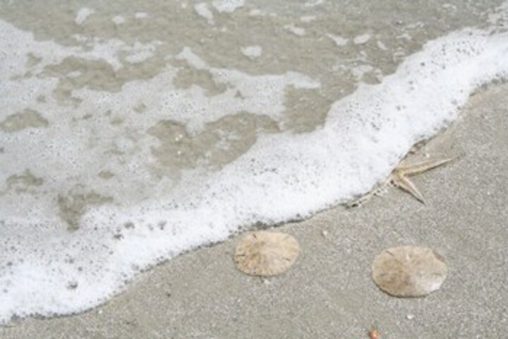 Beach 7 of 24