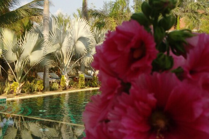 Pool 56 of 149