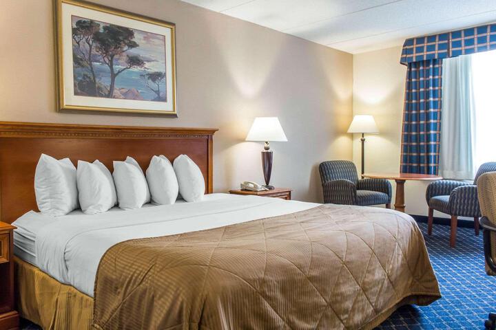 1 King Bed (3 of 9)