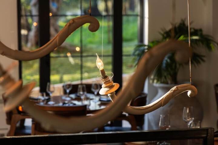 Dining 38 of 47
