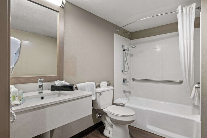 1 King Bed Suite (7 of 18)